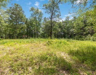 18516 N Rayburn Dr, Conroe, TX 77302