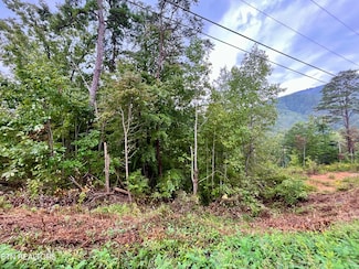 Lot 97 Bluff Ridge Rd, Sevierville, TN 37876