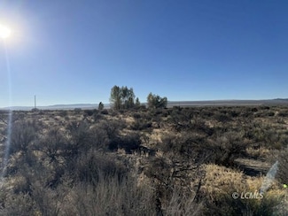 0 SE Pinion Ln Unit 3007360, Christmas Valley, OR 97641