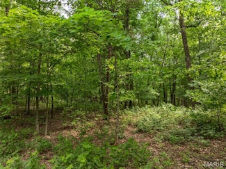 2528 Alpine Trails Dr, Innsbrook, MO 63390