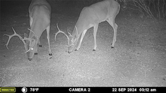 12750 Cr 129, Grosvenor, TX 76801