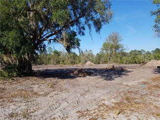 1010 Piney Woods Trail, Osteen, FL 32764