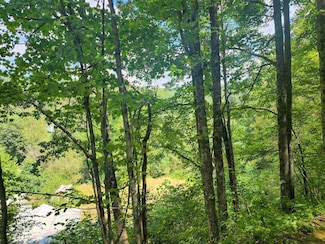 166 Brown Rd, Wallace, WV 26448