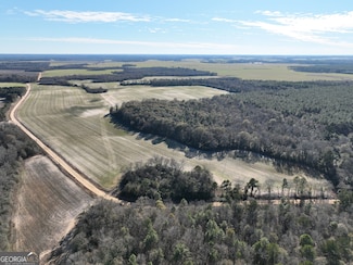 0 Watson Rd Unit LOTWP001, Vienna, GA 31092