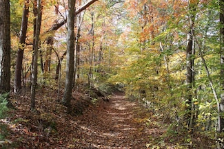 1 Gosser Ridge Spur, Russell Springs, KY 42624