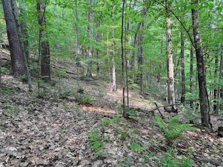 0 Ober Hill Rd, Townshend, VT 05353