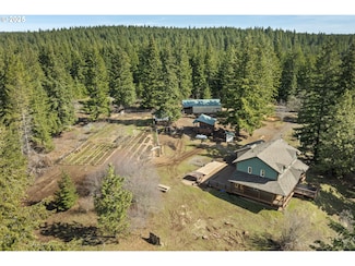 20 Silva Cutoff, Lyle, WA 98635