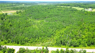 80 Acres Wisconsin 40, Radisson, WI 54867