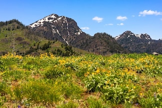 NHN Peak Point Dr Unit Lot 1, Livingston, MT 59047