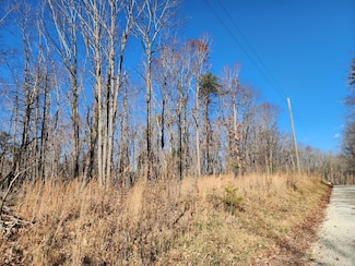 0 Earley Farm Rd Unit 353826, Amherst, VA 24521