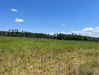 Lot # 9 County Road 22, Columbia, AL 36319