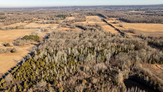 Tract 10 Rooster Rd, Conway, AR 72032