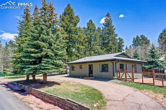 401 N Fairview St, Woodland Park, CO 80863
