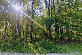 Diamond Dr, Cushing, MN 56443