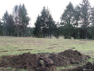 0 Palix Ln Unit 1226988, Bay Center, WA 98527