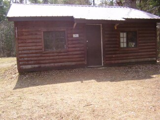 1011 W Cherry Creek Rd, Mio, MI 48647
