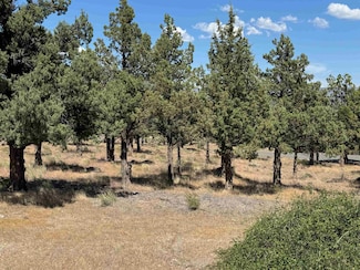 9-1 Lot 114 Wildhorse Unit 9-1, Weed, CA 96094