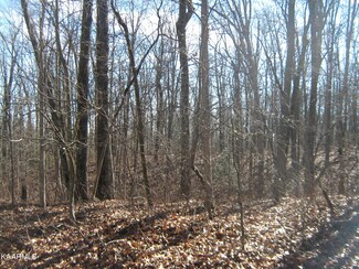 Lot 104 Running Deer, Crab Orchard, TN 37723
