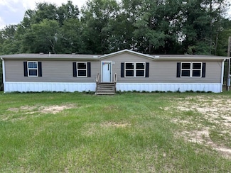 848 County Road 60, Skipperville, AL 36374