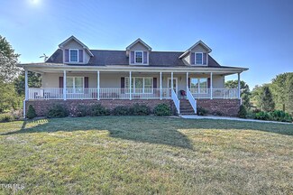 726 Old Snapps Ferry Rd, Chuckey, TN 37641