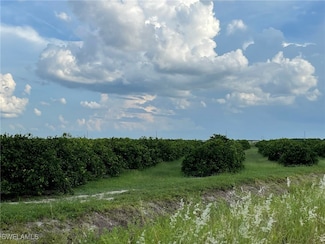 0 6th Ave Unit 224073590, Labelle, FL 33935