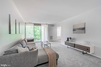 5065 7th Rd S Unit 202, Arlington, VA 22204