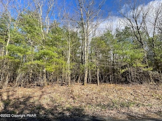 Lot 34 Overlook Dr, Polk Township, PA 18058