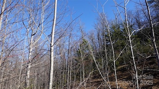 62 Stone Brook Trail Unit 10, Black Mountain, NC 28711