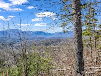 0 Bills Mountain Trail Unit 7 CAR4220803, Lake Lure, NC 28746
