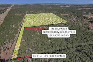 TBD Cr 302, Plantersville, TX 77363