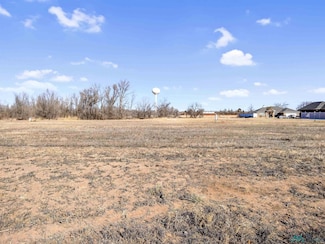 1528 Arbor Dr, Clovis, NM 88101