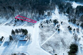 Lot 938 Pontiac Trail, Evart Township, MI 49631