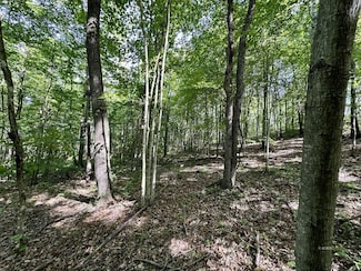 Lot 1 Rowland Rd, Hamden, OH 45634