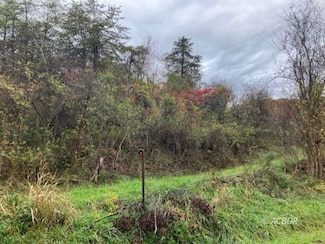 0 Curtis Hollow Rd, Long Bottom, OH 45743