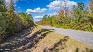 1 County Road 3122, McCool, MS 39108