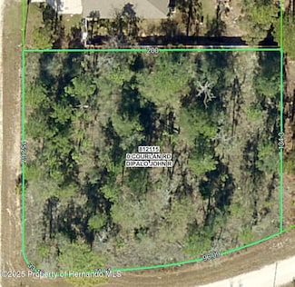 0 Courlan Rd Unit 2253420, Weeki Wachee, FL 34614