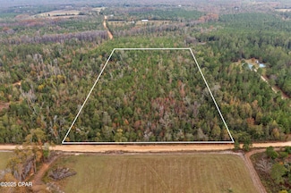 000 Perry Rd, Cottondale, FL 32431