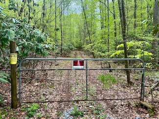 0 Tbd Powder Branch Rd Unit LotWP001 22557687, Elizabethton, TN 37643