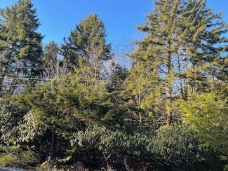 45 Pine Cone Rd, Pocono Pines, PA 18350
