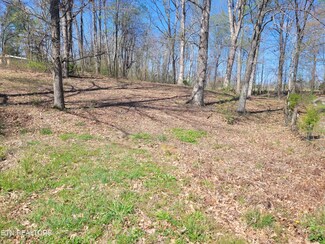 0 Claude Hargis Lane 163 169 181 Ln, Crawford, TN 38554