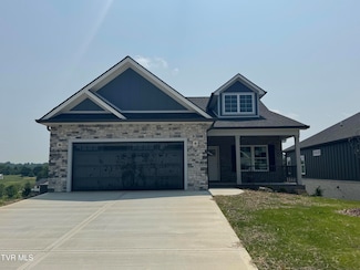 138 Dry Kiln Ct, Gray, TN 37615