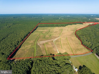 0 Greenbriar Swamp Rd, Salisbury, MD 21804