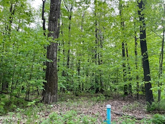 00 Timberman Rd Unit Lot 89, Claysburg, PA 16625