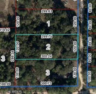 Lot 2 NE 100th Ct, Bronson, FL 32621