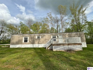 811 French Meyers Ln, Irvington, KY 40146