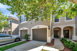 10217 Westpark Preserve Blvd, Tampa, FL 33625