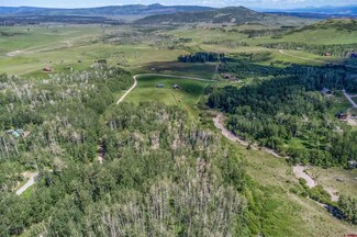 Lot 55 San Juan Vista Rd, Placerville, CO 81430