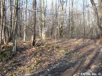 Lot Sullivan Rd, Annsville, NY 13471