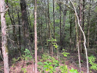 2503 Memory Ln, Horseshoe Bend, AR 72512