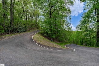 20 Falling Star Way, Landrum, SC 29356